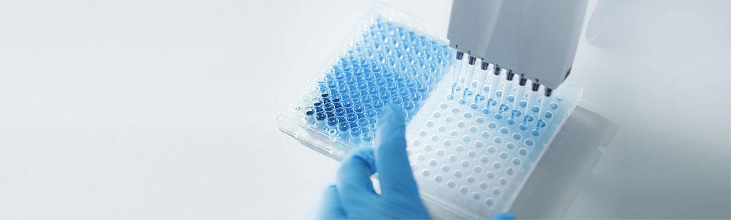 ���Ӽ��Ź���