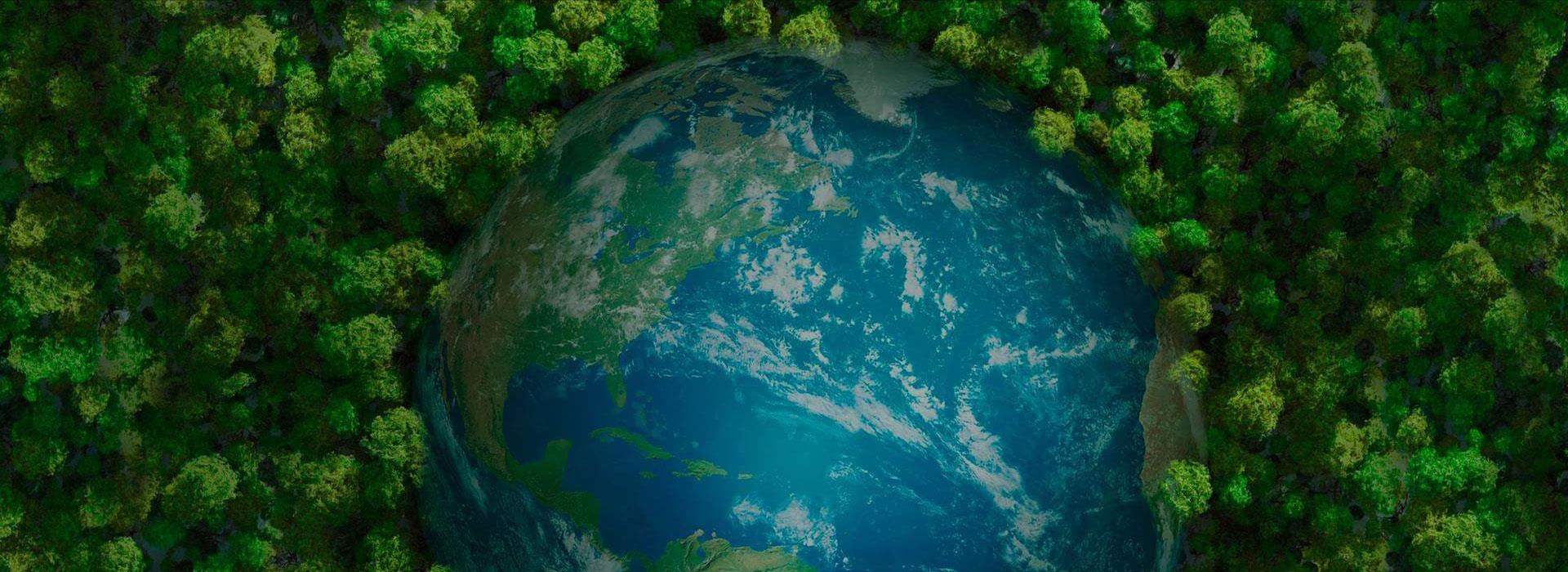 ���Ӽ��Ź���