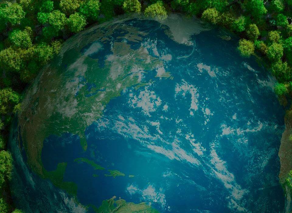 ���Ӽ��Ź���