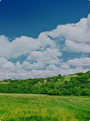 ���Ӽ���(�й�)�ɷݹ�˾-�ٷ���վ