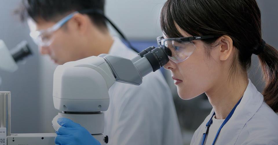 ���Ӽ��Ź���