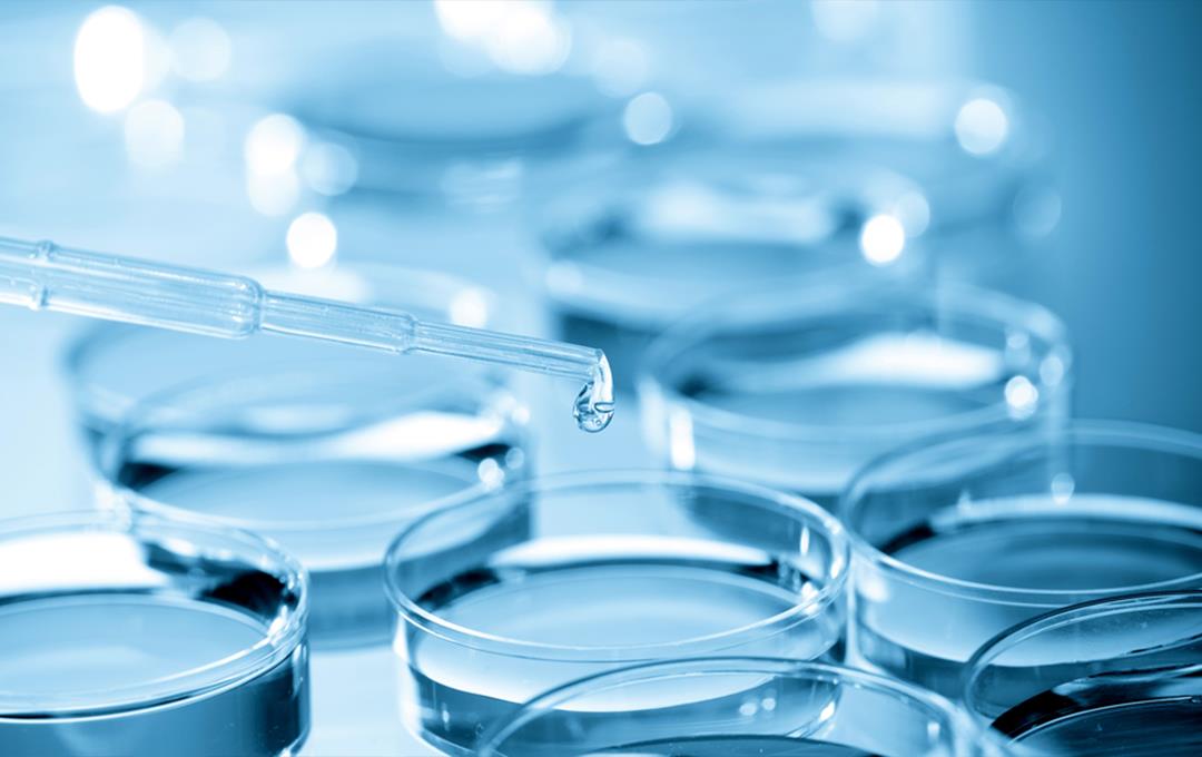 ���Ӽ��Ź���