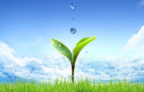 ���Ӽ��Ź���